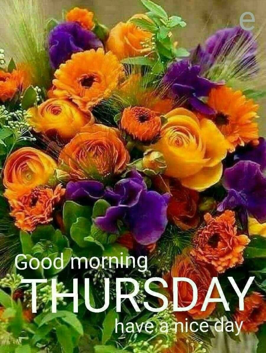 201+ Good Morning Thursday Images wishes for Whatsapp ...