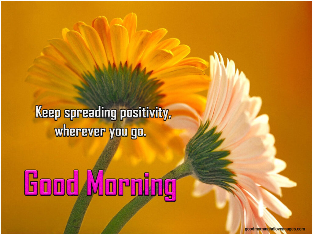 Good Morning HD Images Wishes with Quotes