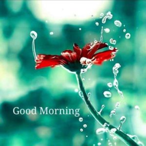 A Beautiful Good Morning Pics HD