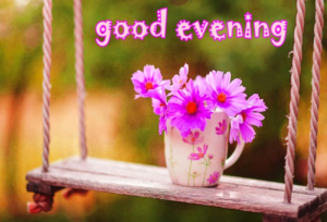 Beautiful Good Evening Flowers Wallpaper