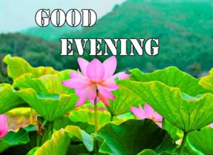 Beautiful Good Evening Images Pictures HD Free Download