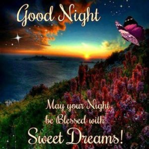 Beautiful Good Night Images Picture HD Free Download