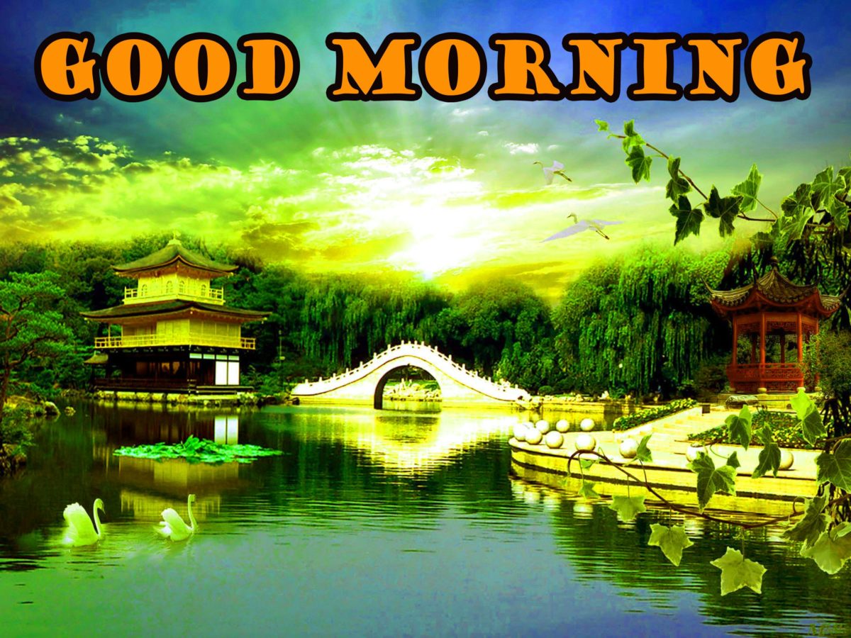 Beautiful Good Morning Scenery Images Photos HD Download Good Morning