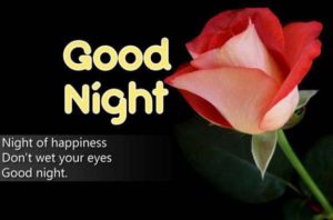 Free Good Night Images with Flower Download