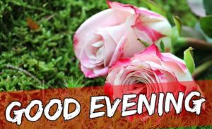 Good Evening Flower Images with Pink Rose