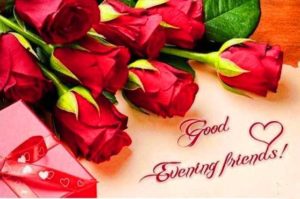 Good Evening Red Rose Hd Wallpaper for Friends