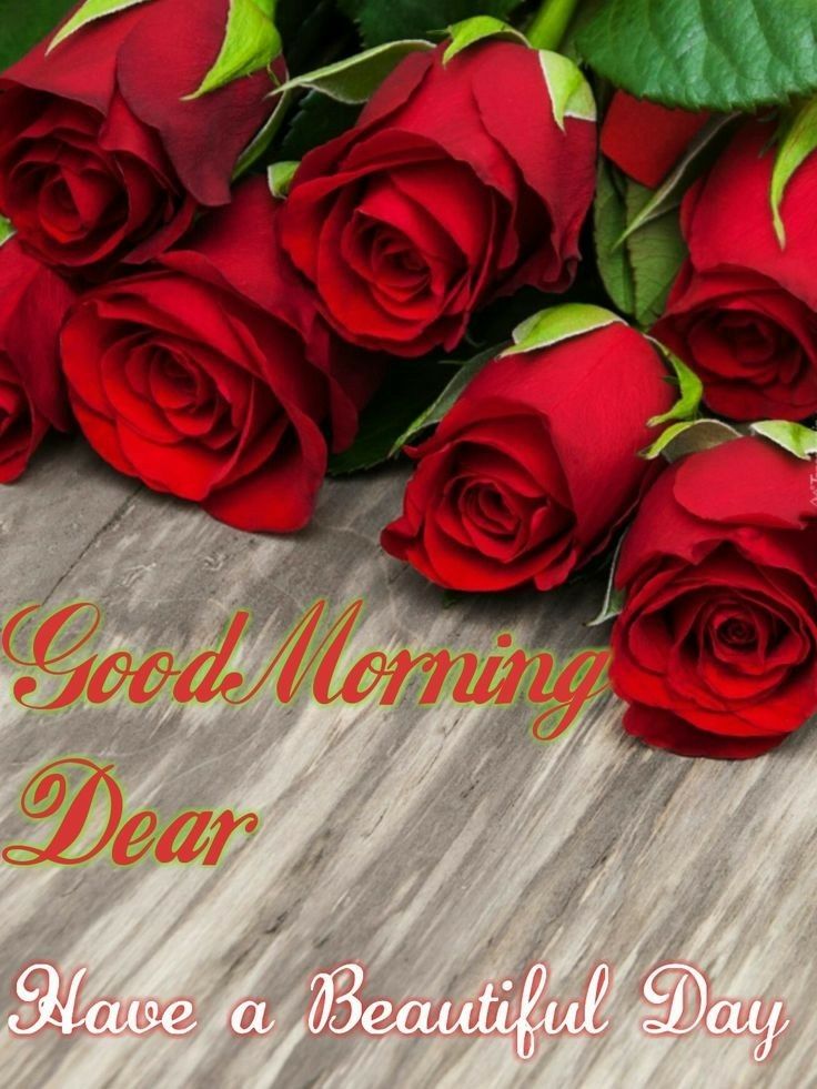 Good Morning Dear Images Download Free With Quotes - Good Morning