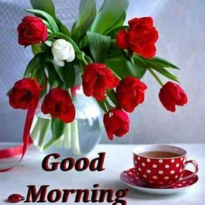 Good Morning Flowers Free Download