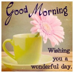 Good Morning Greeting Cards Images and Pictures Free HD Download