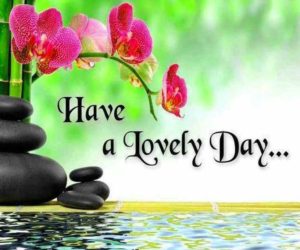 Good Morning Greetings Images Download