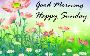 Good Morning Happy Sunday Pic HD Download