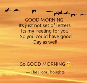 Good Morning Images With Quotes English Hd