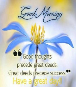 Good Morning Images with Amazing Quotes Wishes with Flower
