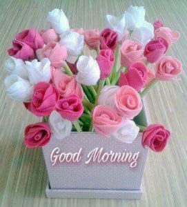 Good Morning Images with Flowers HD Download