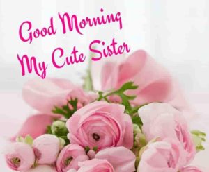 Good Morning My Cute Sister Pic