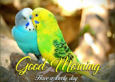 Good Morning Images With Birds And Flowers Good Morning