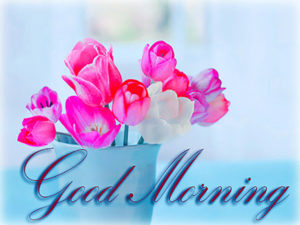 Good Morning Pic with Flowers HD