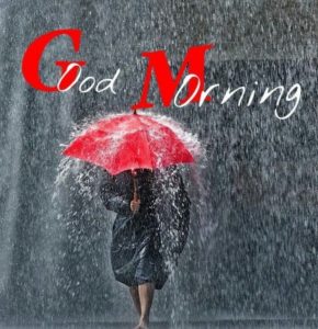 Good Morning Rain Pic HD Download