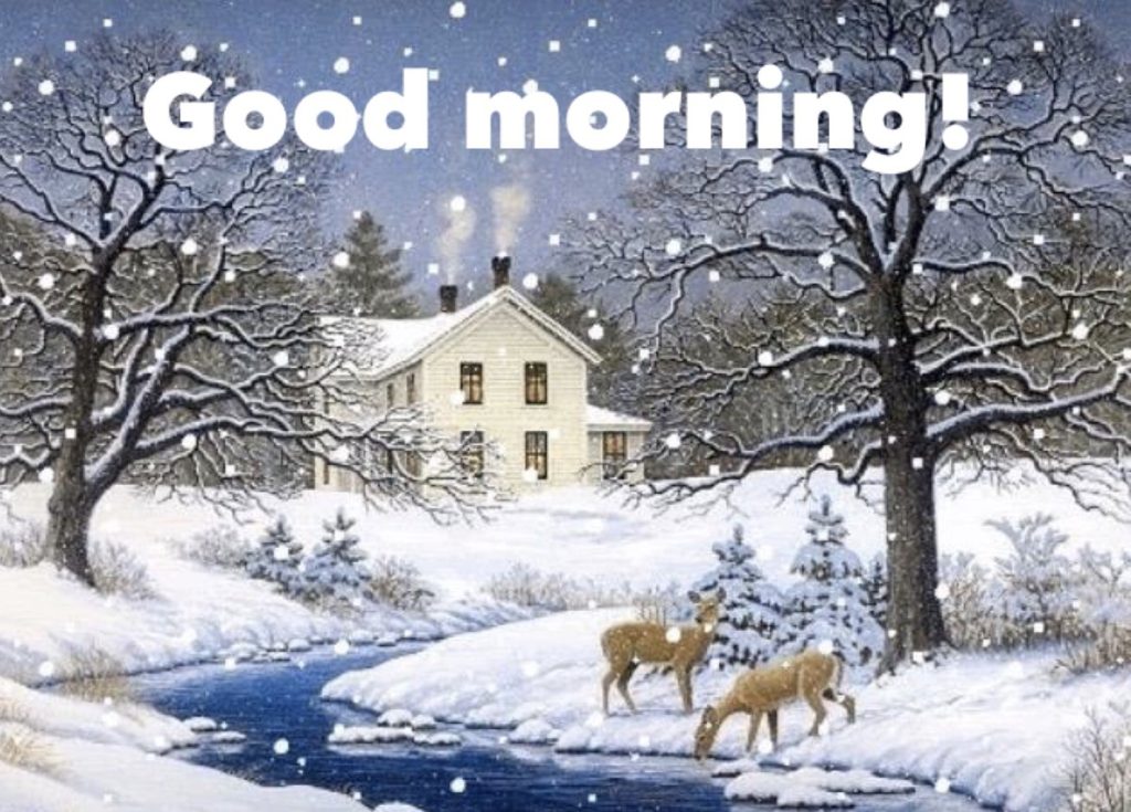 100 Best Good Morning Winter Images With Quotes Good Morning