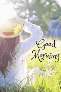 Good Morning Summer Pic HD Download