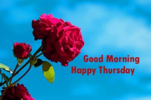 Good Morning Thursday Pic HD Download