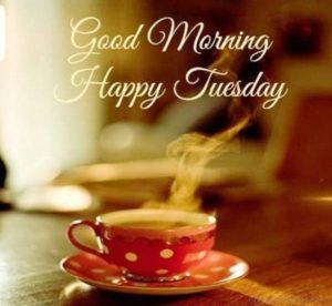 Good Morning Tuesday Pic HD Download