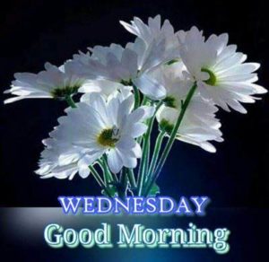 Good Morning Wednesday Pic HD Download