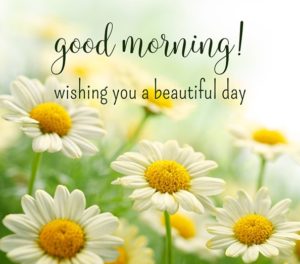 Good Morning Wishes Beautiful Images Picture Photo Free Download