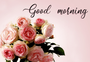 Good Morning Wishes Hd Images Free Download