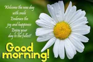 Good Morning Wishes Images Photo Pictures Wallpaper Pics Free Download For Brother