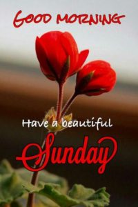 Good Morning Wishes Images Sunday