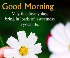 Good Morning Wishes Images With Best Quotes