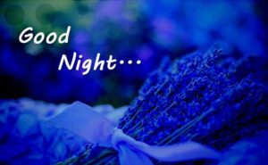 Good Night HD Quality Images Picture Free Download