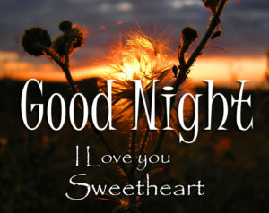 Good Night I Love You Sweetheart Images Picture Free Download