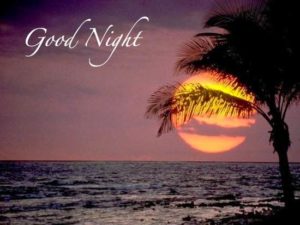 Good Night Images Download with Nature & Moon