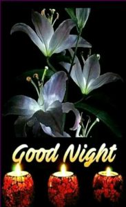 Good Night Images Photo HD Download