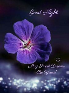 Good Night Images Photo Pic HD For Whatsaap