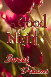 Good Night Photo Download For Mobile 3