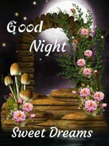 Good Night Photo Download For Mobile 9