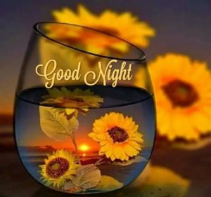 Good Night Photo Download HD for PC