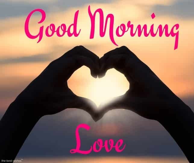 100 Best Good Morning My Love Images Photos Free Download Good Morning