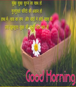 Hindi Quotes Good Morning Wallpaper Images Photos Pictures HD Free Download