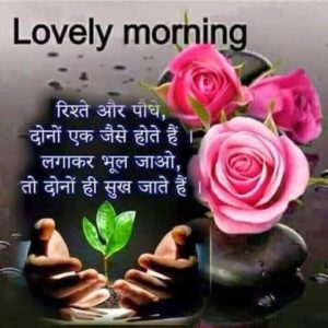 Lovely Good Morning Images Photos Wallpaper Pics in Hindi Aanmol Vachan