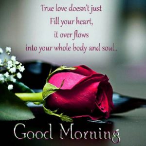 Morning Pics Quotes HD Quality Download