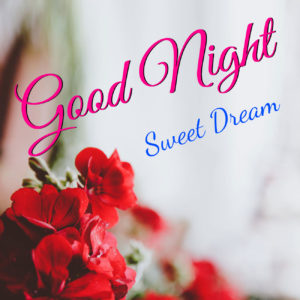 New Good Night Photos Images Greetings Free Download for Mobile