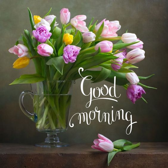 Good Morning Flower Images Free Download - Good Morning