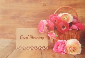 Romantic Good Morning Pic Free Download