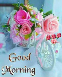 Today Good Morning Images Download