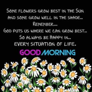 Very Good Morning Images With Quotes with Flower