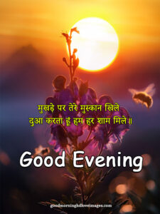 Appealing good evening pic download with hindi shayari